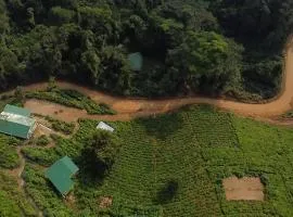 Amajani Gorilla Lodge