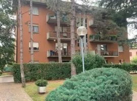 Appartamento brevi periodi "Pedrini's Welcome Home"