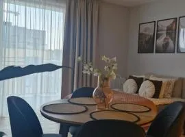 Elite Home 7a Jeżyce - Barańczaka