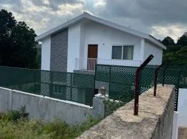 Classy Villa