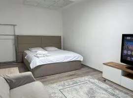 Однокомнатная квартира в центре города