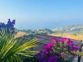 Apartment Bella Vista Poggi - fantastischer Meerblick by Interhome