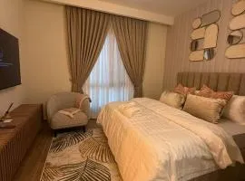 Modern Studio Apartment