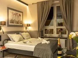 Świdnicka Grey Studio