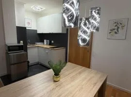 Schickes Apartment im Herzen von Mönchengladbach