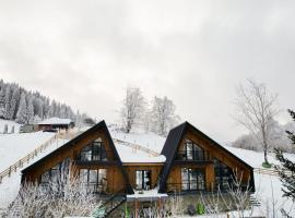 Chalet Alex, Hotel in Fundata