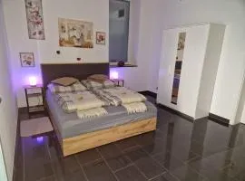 Zentrales City-Apartment mit Garage und Arbeitsplatz geeignet für Business und Familie