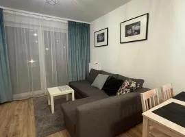 Apartament na Śląskim