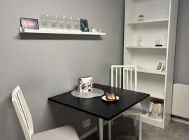 Newly renovated apartment