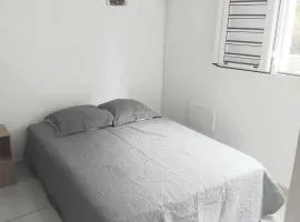 Abricotier à proximité des plages du sud