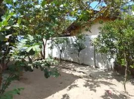 Villa Aloe Vera- Signature Rooms