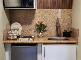 New and Fully-equipped Ground Floor Apartment, hotel en Torreón