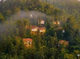 Peter's Coffee Creek Wayanad Pool Resort