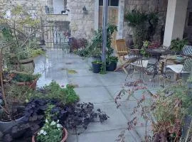 אבוקדו וואדי ניסנאס