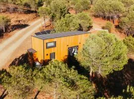 Isis Garden by Tiny Away