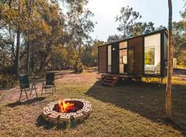 Mirror Reflections by Tiny Away