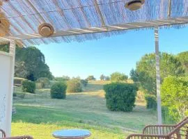 Entre Pins et Romarins