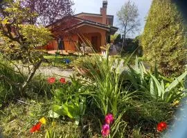 Il Parco holiday - locazione turistica