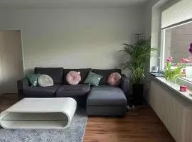 Bright & Spacious 1BR Apartment