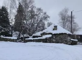 Cardenha das Formiguinhas