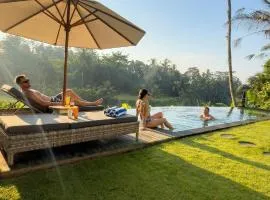 Luxury villa with infinity pool and views of rice paddies