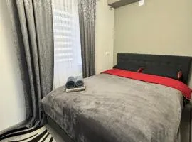 Apartament Edinet