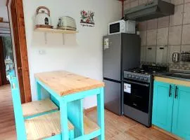 Refugio camino a lago riesco