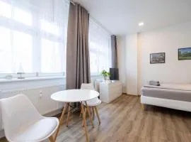 Historic Center Brno Apartment