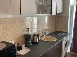 Palas Art Studios, hotel a Iaşi