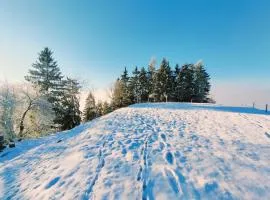 Apartments Organic Tourist Farm Gradišnik