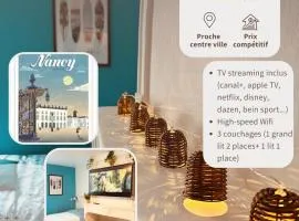 T1 TV 43' avec Netflix - canal série - apple TV - OCS - Disney - Dazen - bein sport - prime vidéo