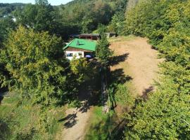 Gästehaus Anita, מלון בלוסהיים