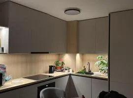 Greenfield Băneasa Cozy Stay