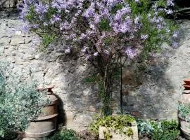 PALAZZO PALESA B&B dimora storica