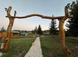 Camp Apartmants Mali Raj