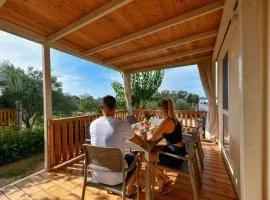 Apartment Mobilheim direkt am Strand by Interhome