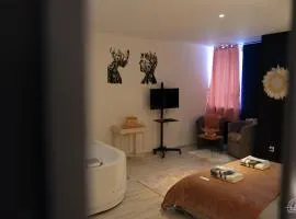 Le Cocon Love Room & Spa