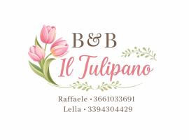 Il Tulipano Camera con bagno privato a Marcianise, מלון במרצ'אניזה