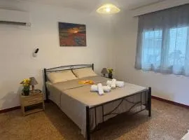 Beautiful and Remodeled Apartment 1A