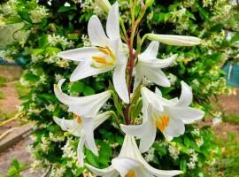 Katerina's Countryside and Sea House