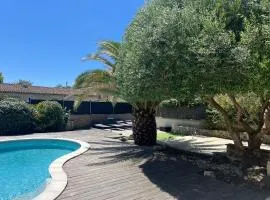 Charmante Chartreuse Bordelaise - Ancien Chai