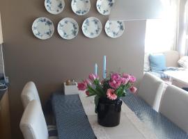 Synnseter, hotel en Lii