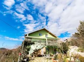 Apartments Mirkovic