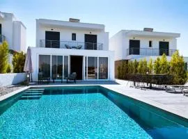 Villa with swimming pool