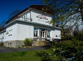 Penzion Villa Gerlach, homestay in Nový Smokovec