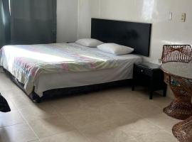 Hotel Santa Barbara，阿勞卡的飯店