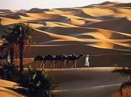 Djnane Elhwass timimoun