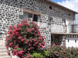 Gîte tout inclus avec terrasse, jardin et parkings, proche Puy-en-Velay et chemins de randonnée. - FR-1-582-323