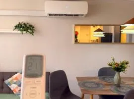 Céntrico Dep con piscina , parking , aire acondicionado