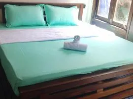 Pavis guest inn